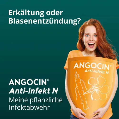 ANGOCIN Anti Infekt N film-coated tablets 120 pcs nasturtium