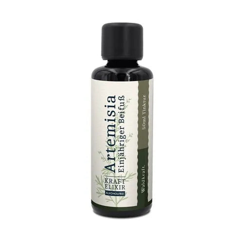 Artemisia – Annual Mugwort alcohol-free (glycerin-based)