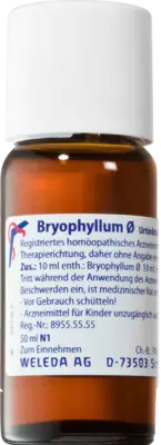BRYOPHYLLUM mother tincture UK