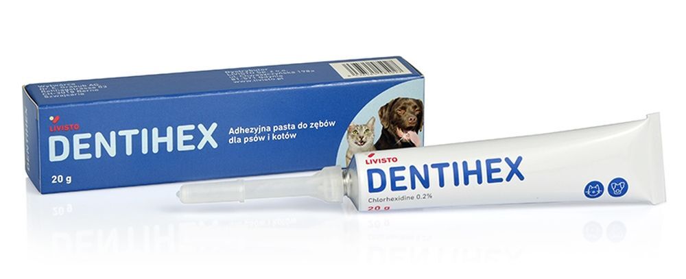 Dentihex toothpaste with applicator for dogs and cats