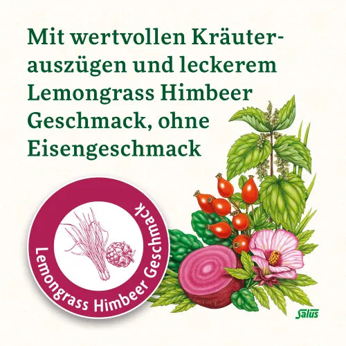 FLORADIX Iron Sticks Powder