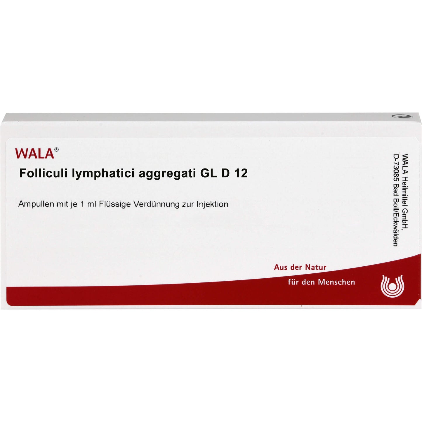 FOLLICULI LYMPHATICI aggregati GL D 12 ampoules