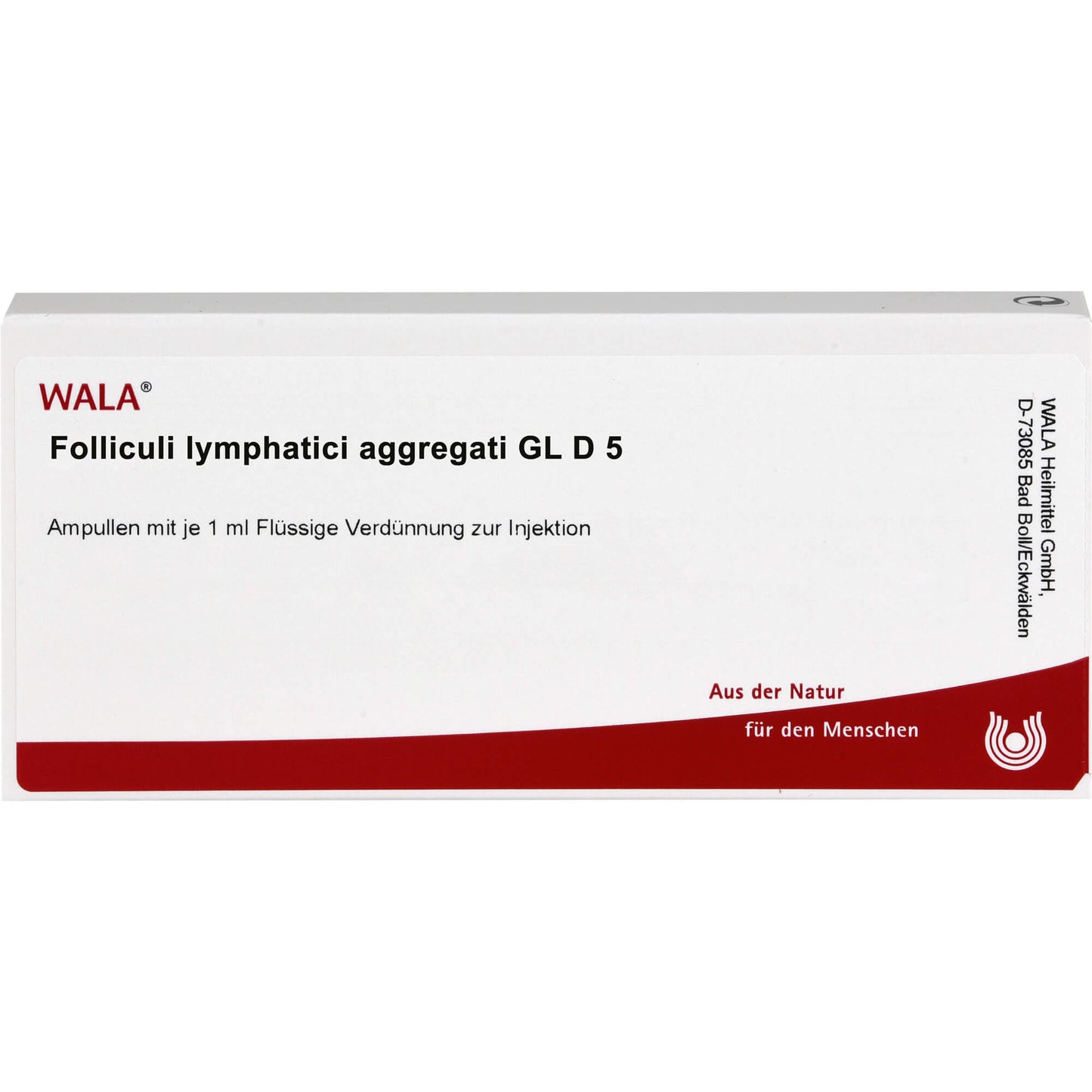 FOLLICULI LYMPHATICI aggregati GL D 5 ampoules