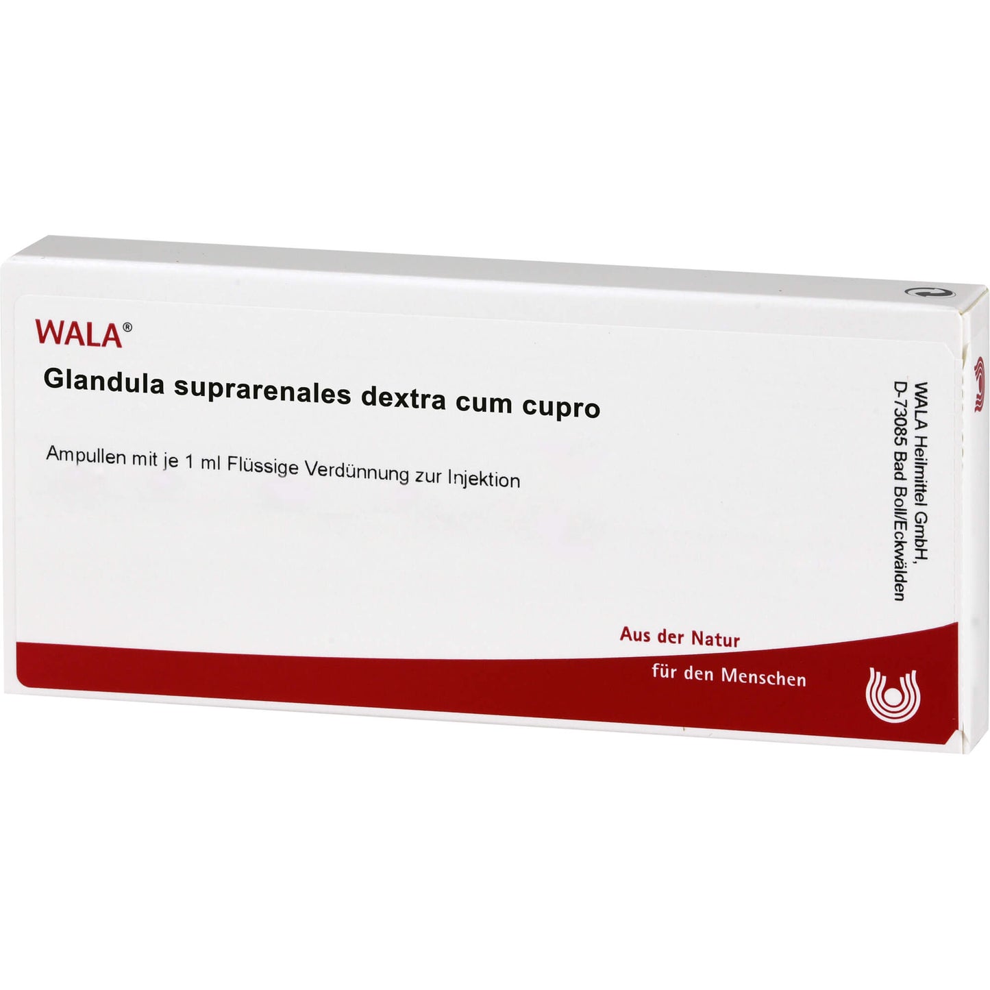GLANDULA SUPRARENALES dextra cum cupro ampoules