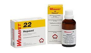 HEPAVET 22 drops vet. 50 ml