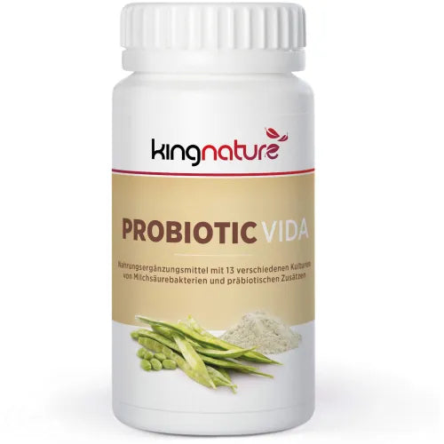 PROBIOTIC Vida Powder 90 g