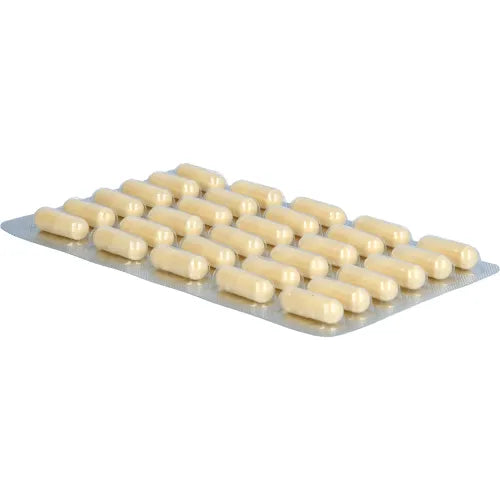 PULSULIN forte capsules