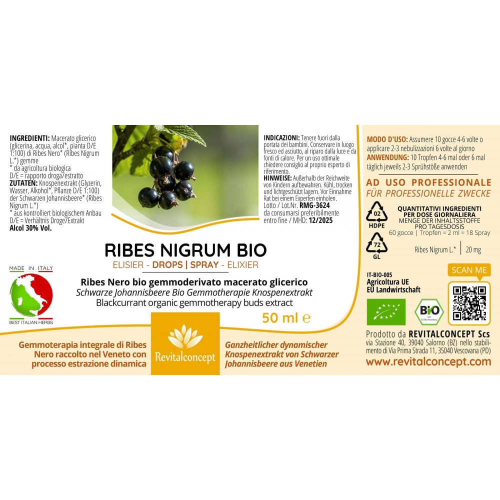 RIBES NIGRUM Blackcurrant Gemmotherapy Bud Extract Organic 50 ml