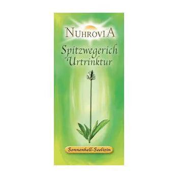 Ribwort plantain mother tincture 20 ml UK