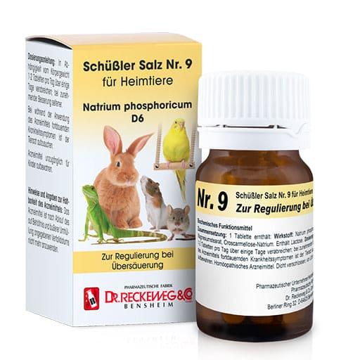 SCHÜSSLER SALT No.9 Sodium phosphoricum D 6 for pets
