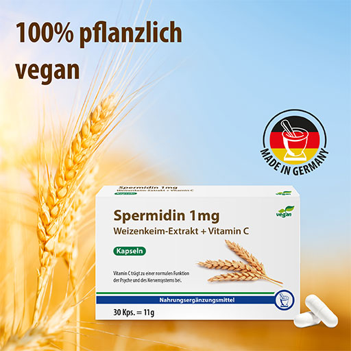 SPERMIDINE 1 mg wheat germ extract+C capsules