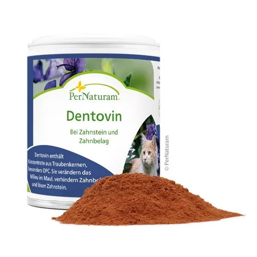 Supplementary feed for cats PerNaturam Dentovin 50 g