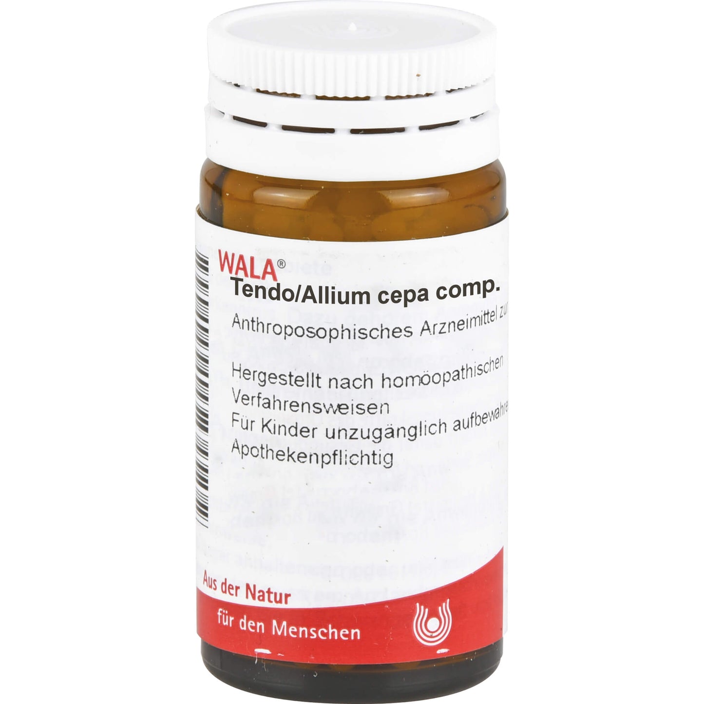 TENDO, ALLIUM cepa comp.Globuli