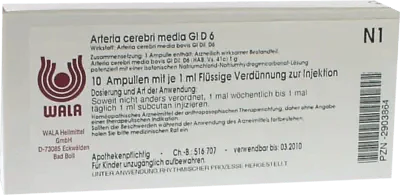 ARTERIA CEREBRI media GL D 6 ampoules UK