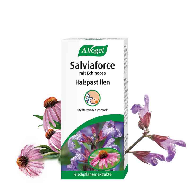 https://www.apo.com/images/product_images/info_images/avogel-salviaforce-mit-echinacea-halspastillen-20-stk-9-pzn-17882234.jpg