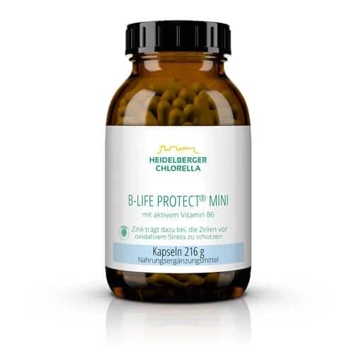 B-LIFE Protect mini, vitamin b6 and magnesium, zinc UK