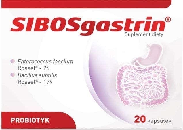 Bacillus subtilis, Enterococcus faecium probiotic, SIBOSgastrin UK