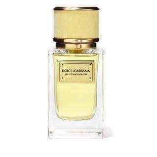 Dolce & Gabbana Velvet Mimosa Bloom Eau de Parfum 150ml Spray UK
