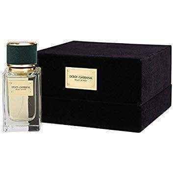 Dolce gabbana velvet vetiver best sale