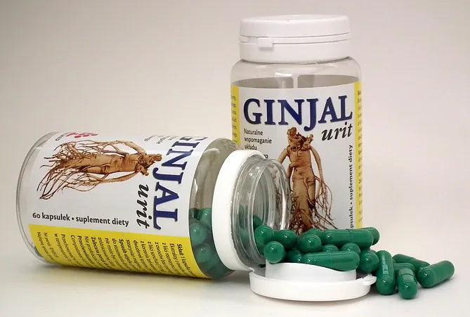 GINJAL urit, cranberry frui, rosemary leaves, elderberries, sonchus leaves, ginseng root UK