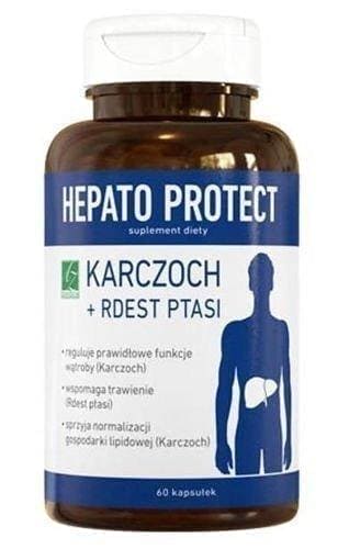 Hepato Protect, liver, gastrointestinal tract, extract of artichoke, knotweed UK