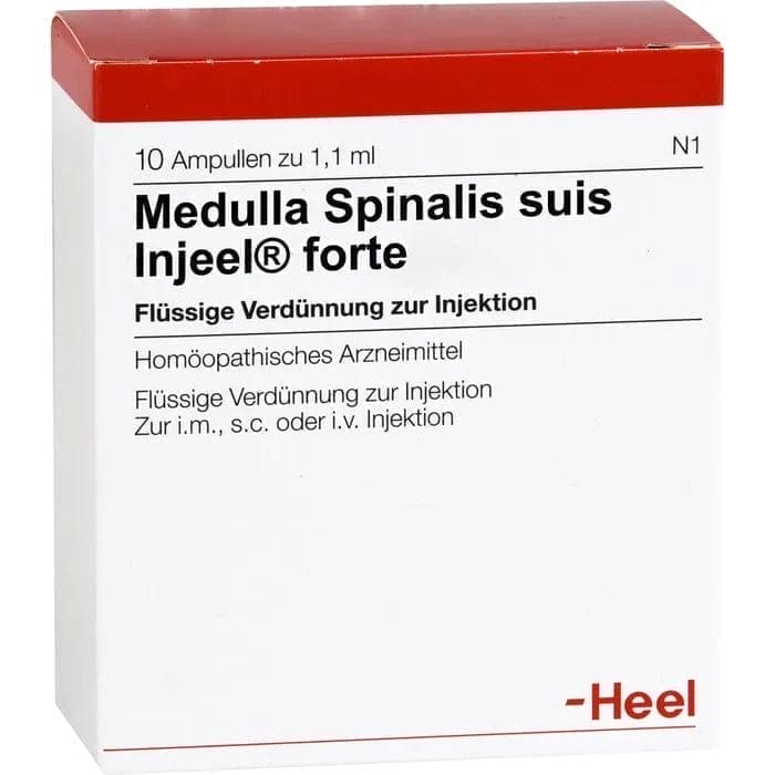 MEDULLA SPINALIS, Multiple sclerosis, amyotrophic lateral sclerosis UK