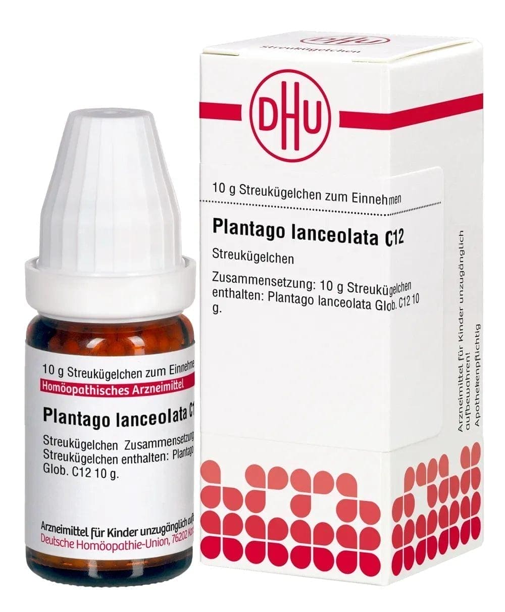 PLANTAGO LANCEOLATA C 4 globules UK