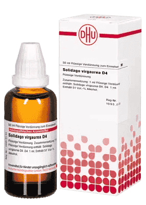 SOLIDAGO VIRGAUREA, gout, joint pain (rheumatism), arthritis, eczema UK