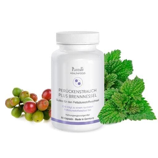 WIG STREAK plus, stinging nettle, capsules UK