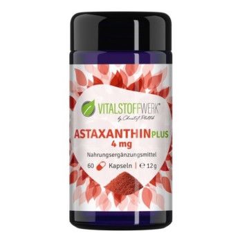 https://www.pestalozzi.de/documents/products/FotoMittel/18131145.jpg?ver=1775041441