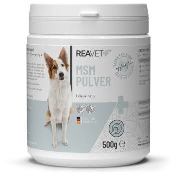 https://www.pestalozzi.de/documents/products/FotoMittel/90106966.jpg?ver=1775041441