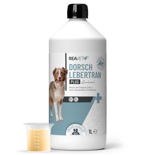 https://www.pestalozzi.de/documents/products/FotoGross/90106981.jpg?ver=1775041441