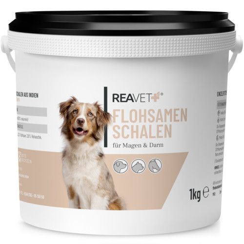 https://www.pestalozzi.de/documents/products/FotoGross/90106989.jpg?ver=1775041441