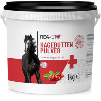 https://www.pestalozzi.de/documents/products/FotoMittel/90107328.jpg?ver=1775041441