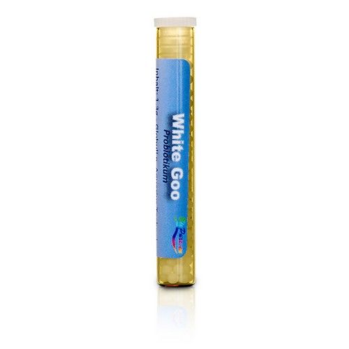 https://www.pestalozzi.de/documents/products/FotoGross/90108224.jpg?ver=1775041441