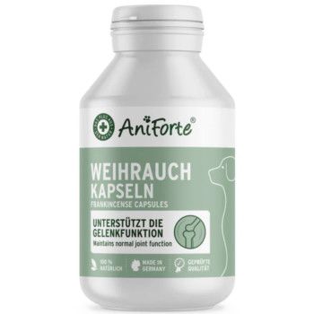 https://www.pestalozzi.de/documents/products/FotoMittel/90108265.jpg?ver=1775041441