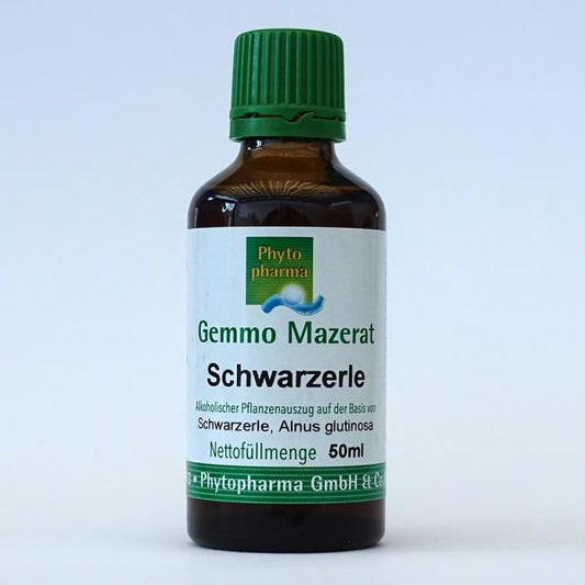 ALNUS GLUTINOSA Black Alder Gemmotherapy Bud Extract organic