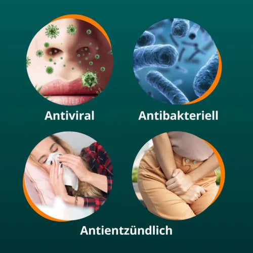 ANGOCIN Anti Infekt N film-coated tablets 60 pc