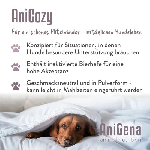 ANICOZY Vitamin B1+B2+B3+B6+B12+Zinc powder vet. 300g