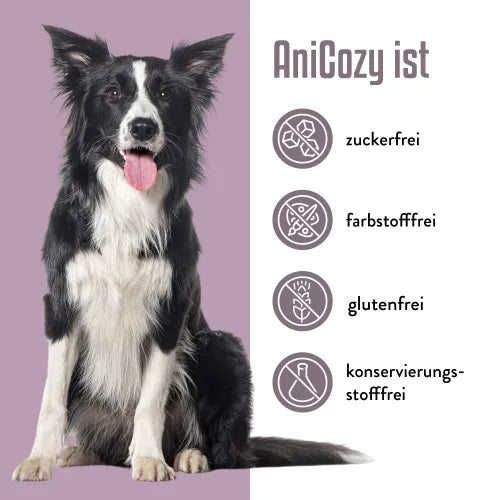 ANICOZY Vitamin B1+B2+B3+B6+B12+Zinc powder vet. 300g