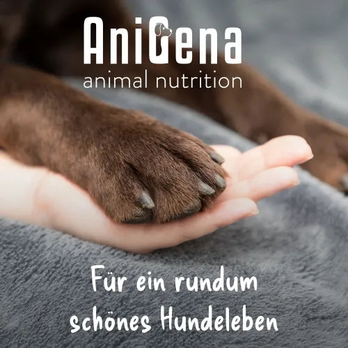 ANICOZY Vitamin B1+B2+B3+B6+B12+Zinc powder vet. 300g