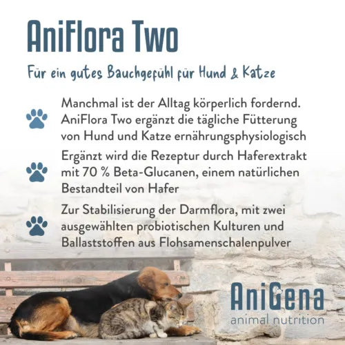 ANIFLORA Two Intestinal Bacteria + Psyllium Husk Supplement for Dogs, Cats 125 g