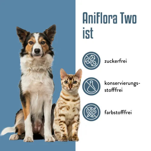 ANIFLORA Two Intestinal Bacteria + Psyllium Husk Supplement for Dogs, Cats 125 g