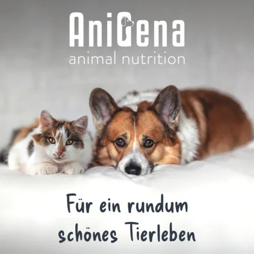ANIFLORA Two Intestinal Bacteria + Psyllium Husk Supplement for Dogs, Cats 125 g