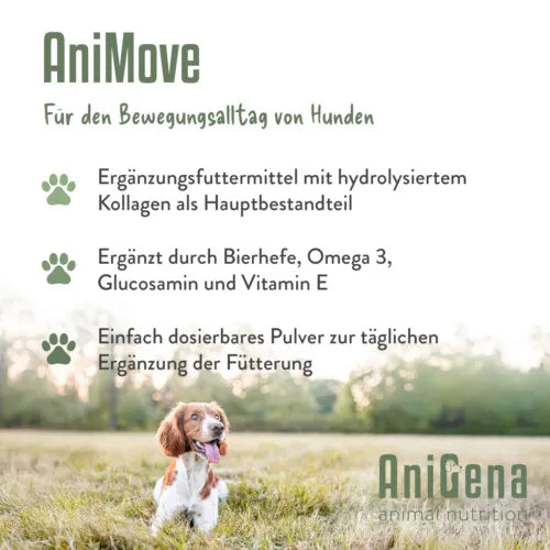 ANIMOVE Collagen+Glucosamine+Chondr.MSM Plv.f.Dogs 200 g