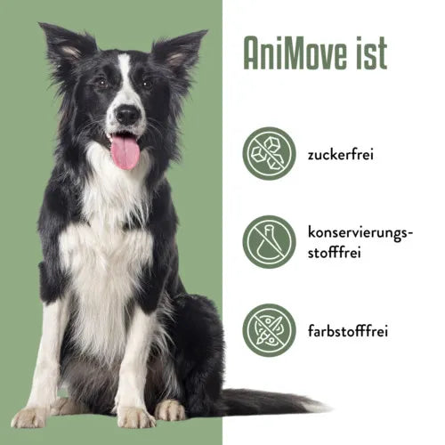 ANIMOVE Collagen+Glucosamine+Chondr.MSM Plv.f.Dogs 200 g