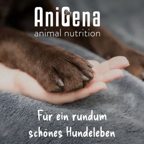 ANIMOVE Collagen+Glucosamine+Chondr.MSM Plv.f.Dogs 200 g
