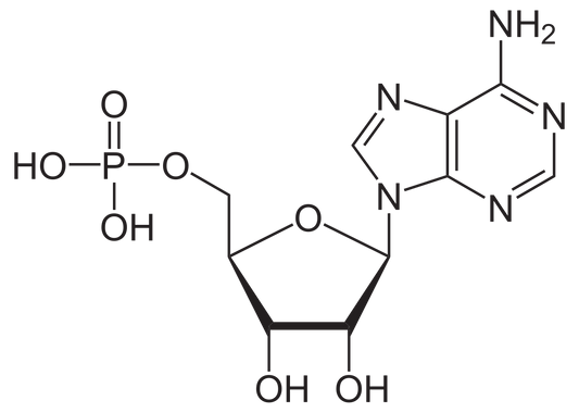 Adenosine monophosphate C 10 globules 10 g