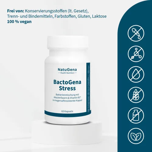 BACTOGENA Stress Bacteria Mixture+Vitamin B2 60 pieces - 5