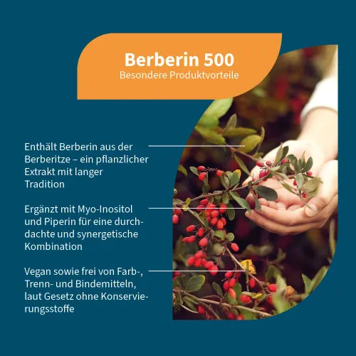 BERBERINE 500 Myo-Inositol & Piperine vegan capsules 60 pcs - 2